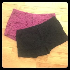 Nicole by Nicole Miller black lace shorts